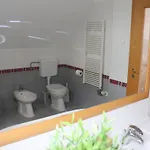 B6 * Veszprém